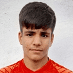 Vini