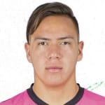 M. Bórquez
