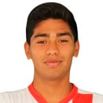 F. Salinas