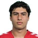 W. Faghir