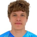 V. Paltsev