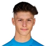 S. Hamzić