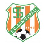 Samgurali team flag
