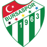 Bursaspor team flag