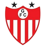 Guarany de Bagé team flag