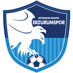 Erzurum BB team flag