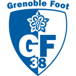 Grenoble team flag