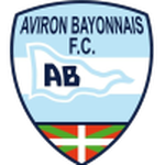 Bayonne team flag