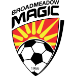Broadmeadow Magic team flag