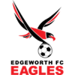 Edgeworth Eagles team flag