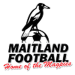 Maitland team flag