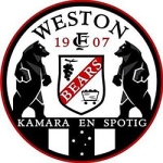 Weston Bears team flag