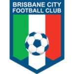 Brisbane City team flag