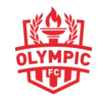 Olympic team flag