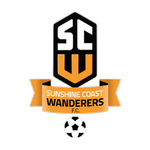 SC Wanderers team flag