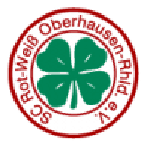 RW Oberhausen U19 team flag