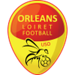 Orleans team flag