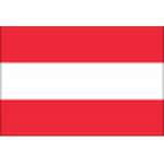 Austria U19 team flag