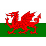Wales U19 team flag
