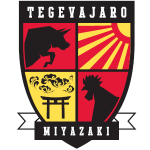 Tegevajaro Miyazaki team flag