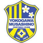 Tokyo Musashino City team flag