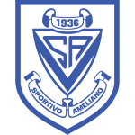 Sportivo Ameliano team flag
