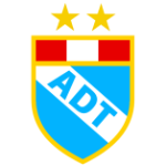ADT team flag
