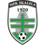 Skalica team flag