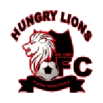 Hungry Lions team flag
