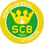 Brühl team flag