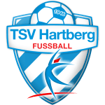 TSV Hartberg team flag