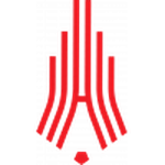 Amkar team flag