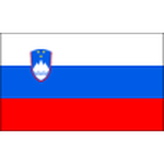 Slovenia team flag