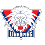 Linköping team flag