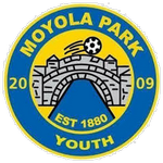 Moyola Park team flag