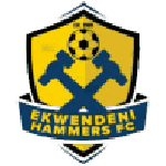 Ekwendeni Hammers team flag