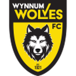 WDSC Wolves team flag
