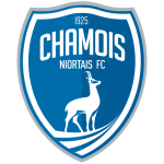 Niort team flag