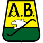 Bucaramanga team flag