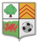 Llwydcoed team flag