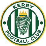 Kerry team flag