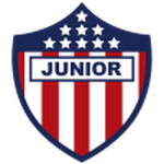Junior team flag