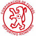 Leones FC team flag