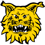Ilves team flag