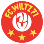Wiltz team flag