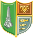 Bodmin Town team flag