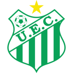 Uberlandia team flag