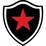 Botafogo PB team flag