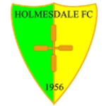 Holmesdale team flag