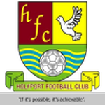 Holyport team flag